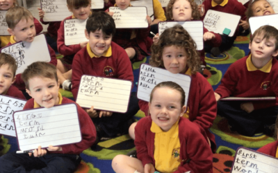 Announcing Our New Annual Membership: Flexible, Affordable Phonics Training for Your Whole School