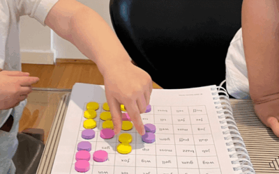 ‘It has been a wonderful gift for our family’: Susan Tracey, Homeschooling Parent
