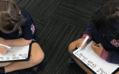 ‘All students, regardless of their ability, can access this program’: Springfield Central State School, Australia